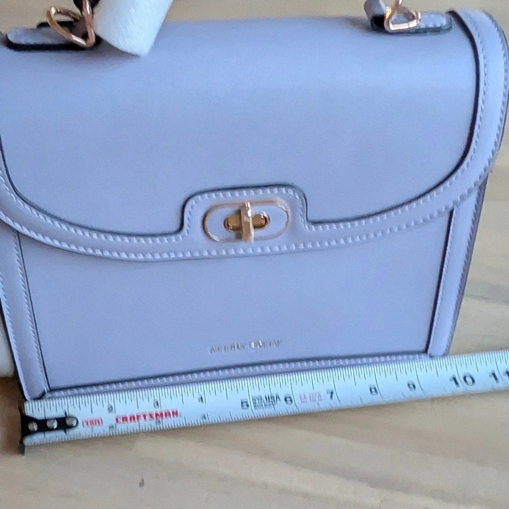Allen Solly Violet Structured Top Handle Satchel/Crossbody Bag Gold Hardware NWT